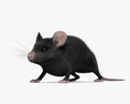 Ratón negro Modelo 3D