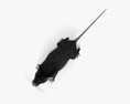 Schwarze Maus 3D-Modell