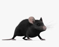Черная мышь 3D модель