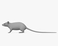 Белая крыса 3D модель