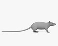 Rato branco Modelo 3d