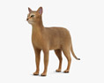 Abyssinian Cat 3d model