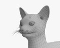 Gatto abissino Modello 3D