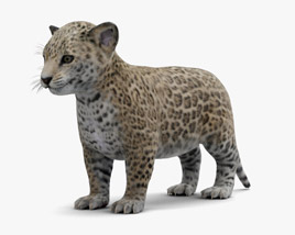 Jaguar Cub 3D model