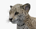 Filhote de jaguar Modelo 3d