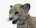 Filhote de jaguar Modelo 3d