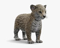 Bébé jaguar Modèle 3d
