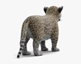 Cachorro de jaguar Modelo 3D
