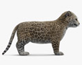 Jaguar Jungtier 3D-Modell