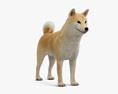 柴犬 3Dモデル