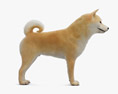 柴犬 3D模型