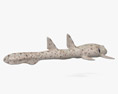 Tubarão-epaulette Modelo 3d