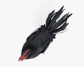 Rooster Leghorn Black 3d model