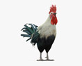 Silver Rooster Leghorn 3Dモデル