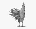 Silver Rooster Leghorn 3D-Modell