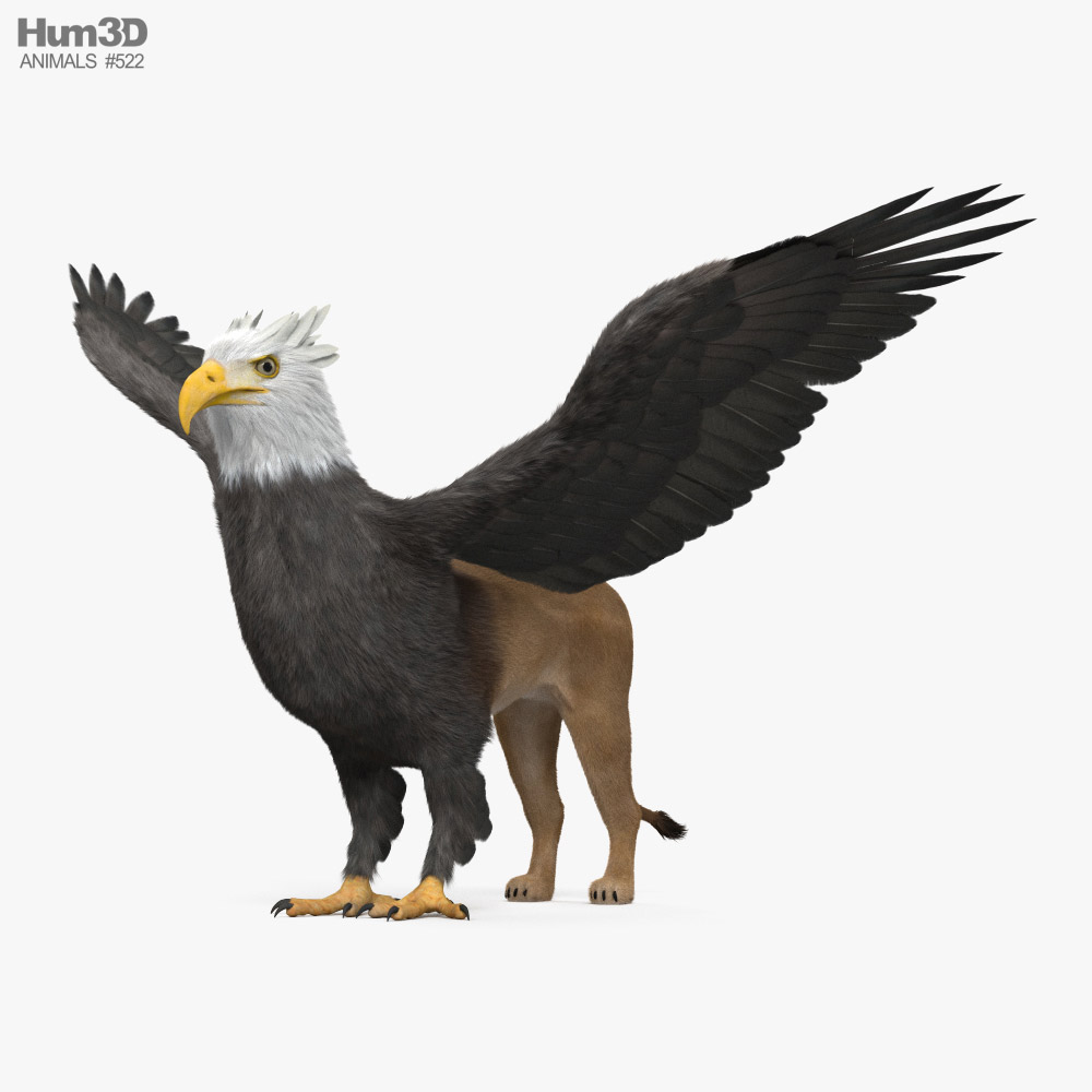 Griffin 3D model