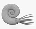 Ammonit 3D-Modell