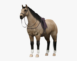 Gesatteltes Pferd 3D-Modell