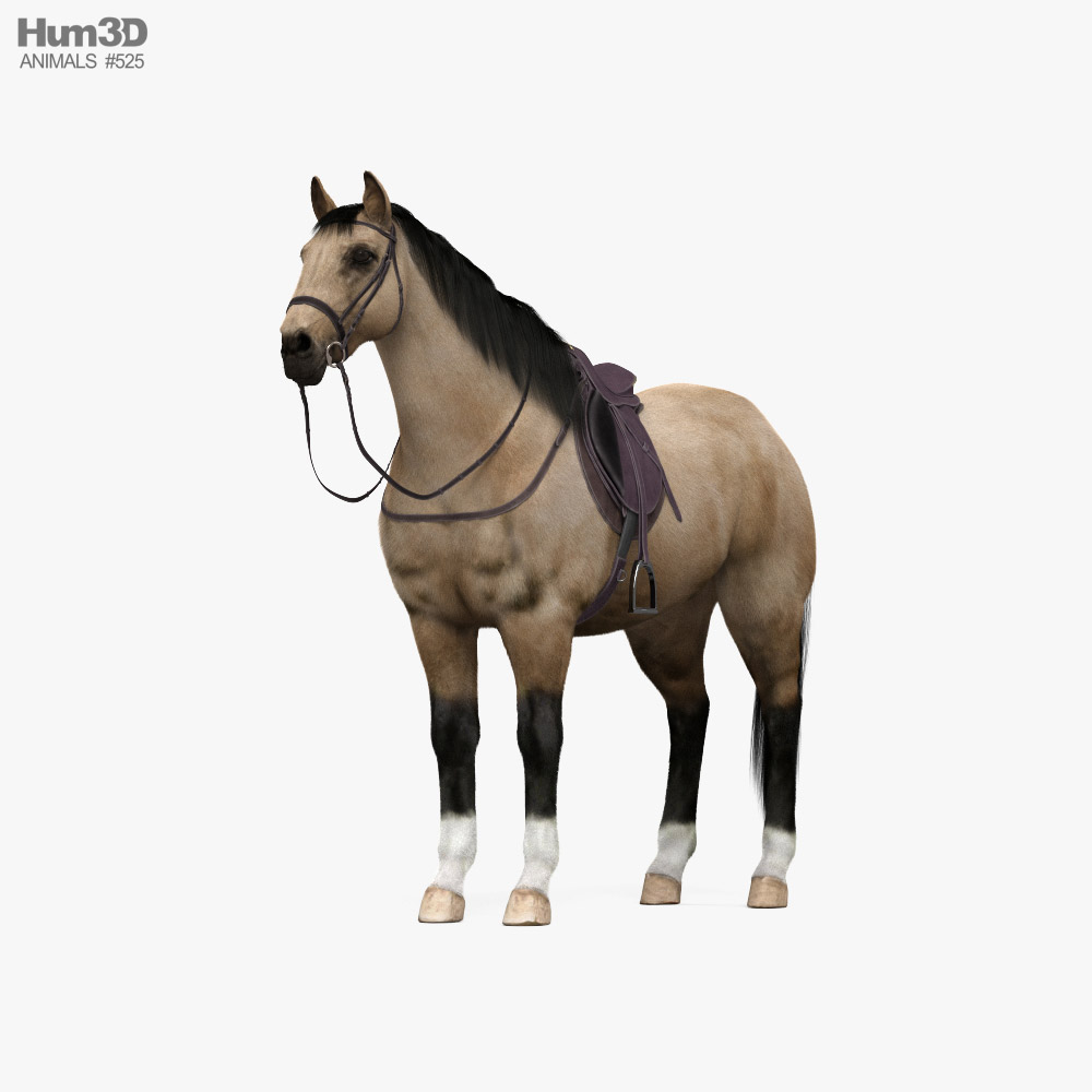 Saddled Horse 3D model