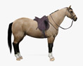 鞍をかぶった馬 3Dモデル