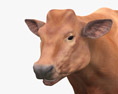 Brown Cow Modelo 3D