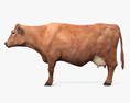 Brown Cow 3D 모델 