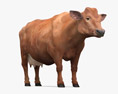 Brown Cow Modèle 3d