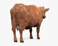 Brown Cow Modello 3D