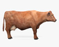 Brown Cow 3d model