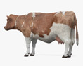 Brown and White Cow Modèle 3d