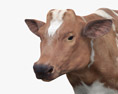 Brown and White Cow 3D模型