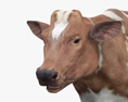 Brown and White Cow 3D-Modell