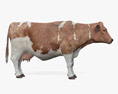 Brown and White Cow Modello 3D
