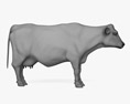 Brown and White Cow 3d model
