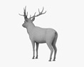 Red Deer 3d model