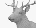 Cervo rosso Modello 3D
