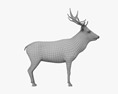 말사슴 3D 모델 