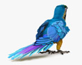 Blue-and-Yellow Macaw 3d model