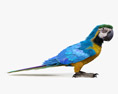 Blue-and-Yellow Macaw 3d model