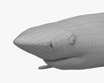 청새리상어 3D 모델 