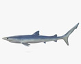 Requin bleu Modèle 3d