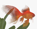 Круглый аквариум с золотыми рыбками 3D модель