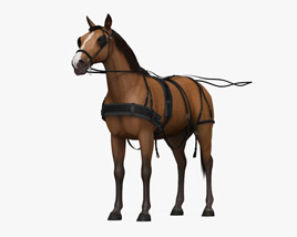 Horse Harness 3D model