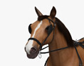 Horse Harness 3d model