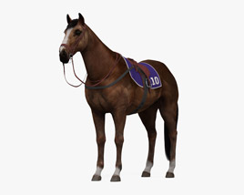 Race Horse 3D model
