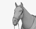 Cavallo da corsa Modello 3D