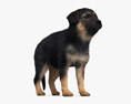 German Shepherd Puppy Modelo 3D