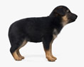 German Shepherd Puppy 3d model