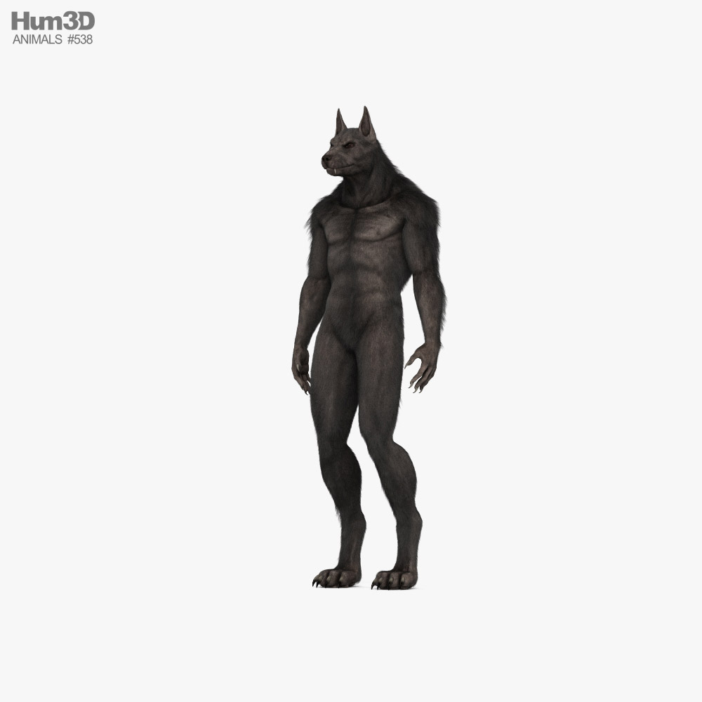 Werewolf 3D model
