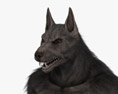 Werewolf 3d model